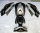 Xunying shell полный набор аксессуаров для модификации мотоцикла scooter general imitation 125 big Xunying small аксессуары для электромобилей mini 2