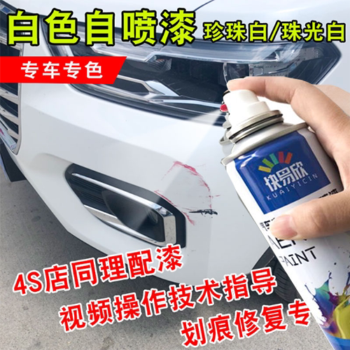 专车专用罐装漆颜色精准赠运费险