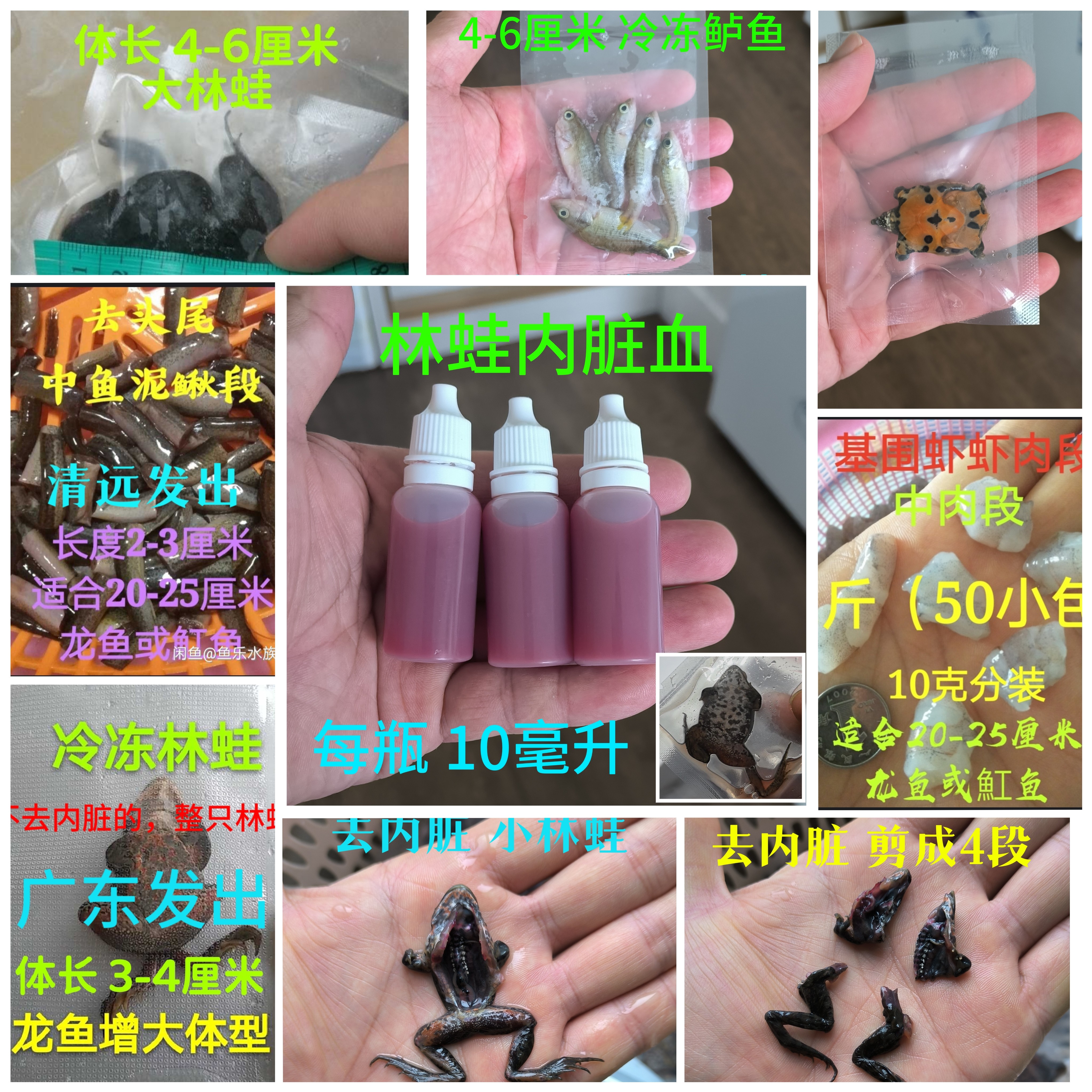林蛙血，冻甲鱼去内脏冻林蛙泥鳅冻鱼虾肉龙虎鱼雷龙角蛙龟蛇鱼食