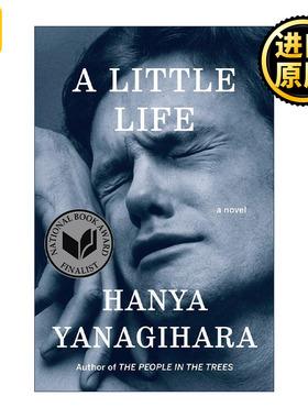 A Little Life 渺小一生 Hanya Yanagihara 精装