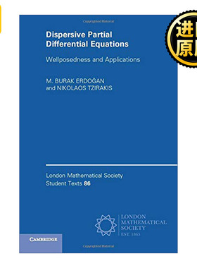 英文原版 Dispersive Partial Differential Equations