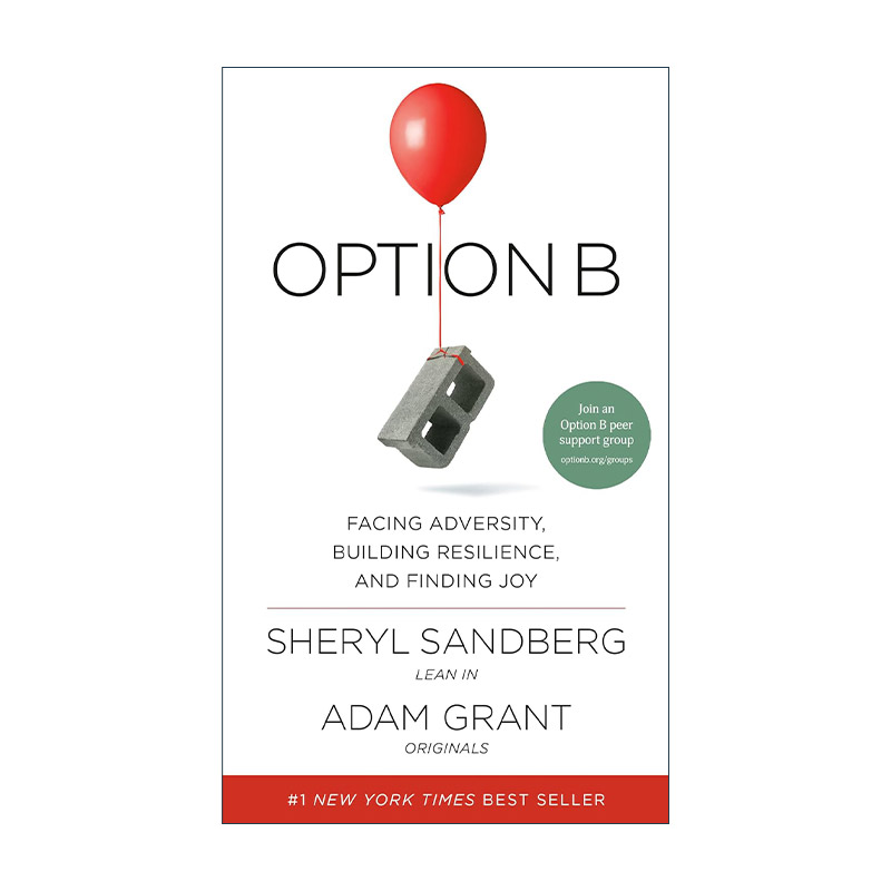Option B 英文原版 进口英语书籍 人物传记