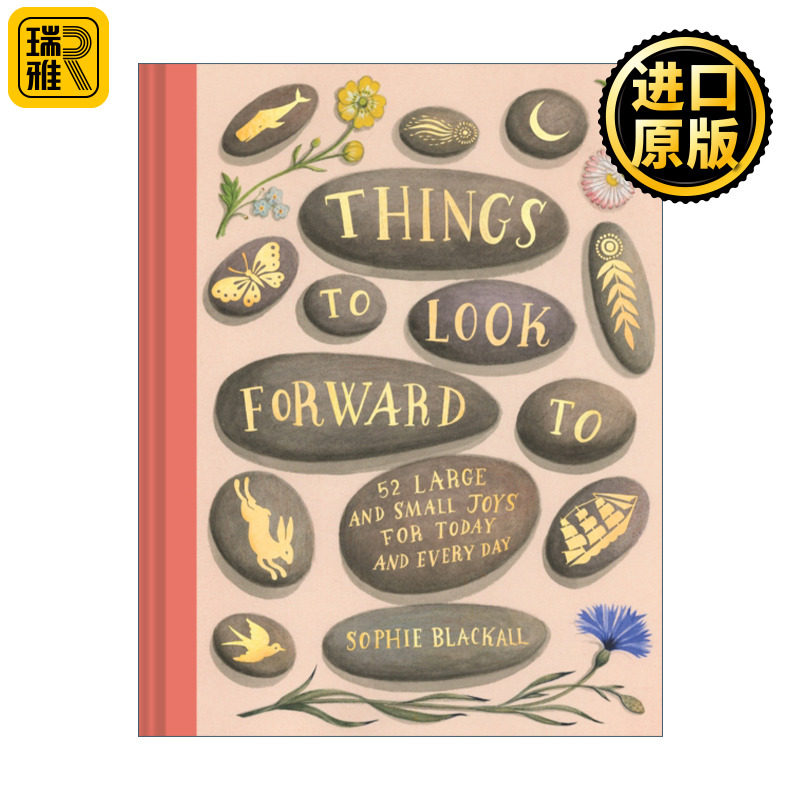 Things to Look Forward To 值得期待的事 52种人生快乐的事集 精装 凯迪克奖插画家