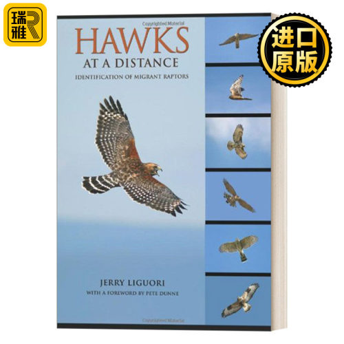 英文原版 Hawks at a Distance: Identification of Migrant Raptors 远处的鹰:迁徙猛禽的识别 鸟类指南 Jerry Liguori
