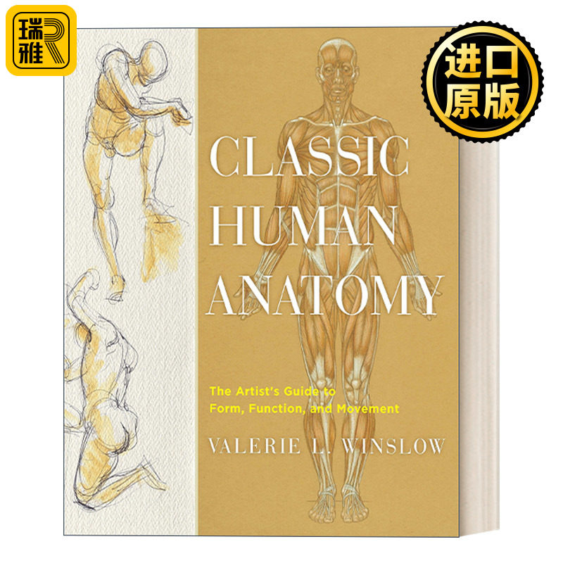 英文原版 Classic Human Anatomy 经典人体解剖学：形式、功能和运动的艺术家指南 绘画技巧 Valerie L. Winslow 精装