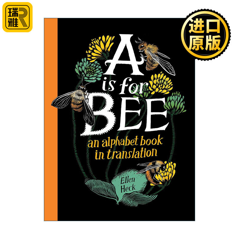 A Is for Bee 翻译的字母书 不同语言的同个单词 精装