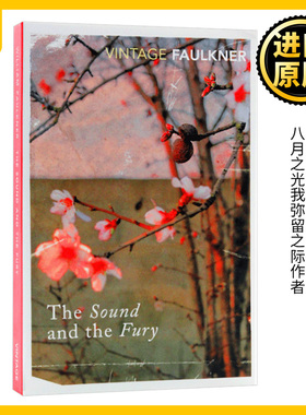 喧哗与骚动 英文原版 The Sound And The Fury 喧嚣与躁动 诺贝尔奖得主 福克纳William Faulkner八月之光我弥留之际作者 英语书籍