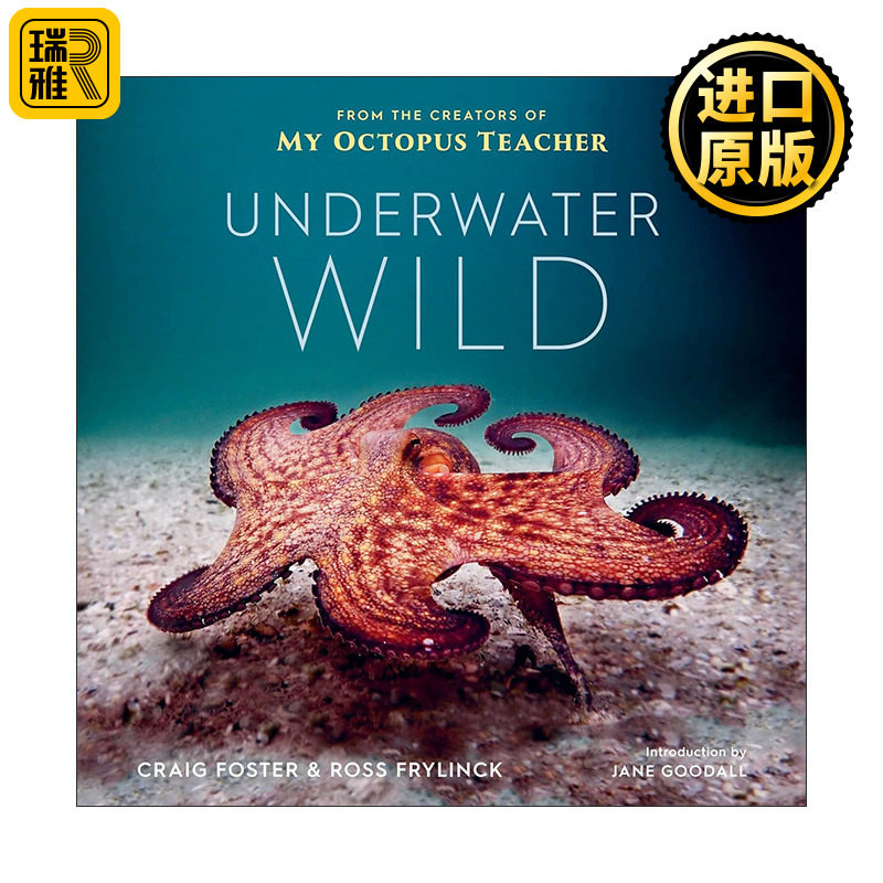Underwater Wild 狂野蔚蓝 章鱼老师的非凡世界 精装 Netflix热门同名纪录片幕后制作人Craig Foster