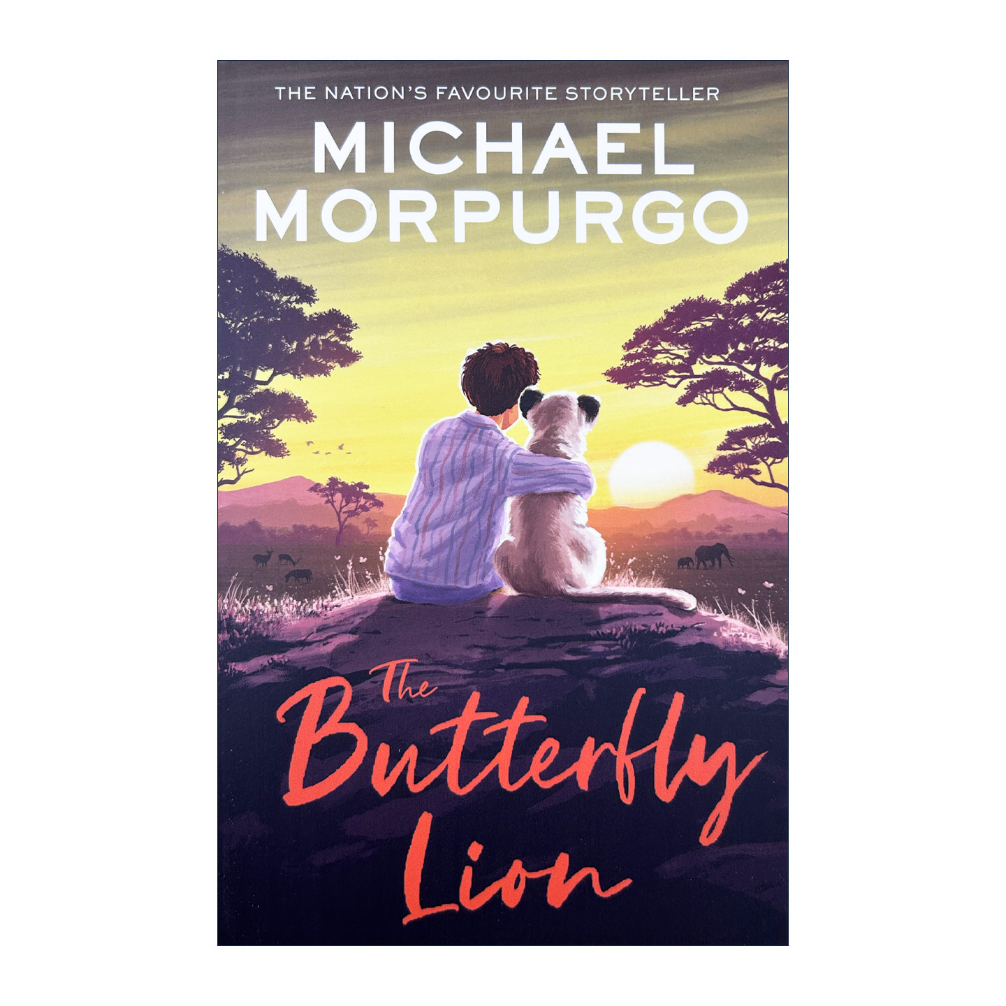 英文原版 The Butterfly Lion 蝴蝶狮 新版 英国国宝级儿童文学作家、战马作者迈克尔·莫波格Michael Morpurgo