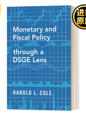 英文原版 Monetary and Fiscal Policy through a DSGE Lens 基于DSGE模型的货币与财政政策 英文版 进口英语原版书籍