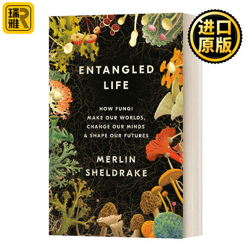 Entangled Life 纠缠的生命 真菌如何创造我们的世界 精装 英文原版