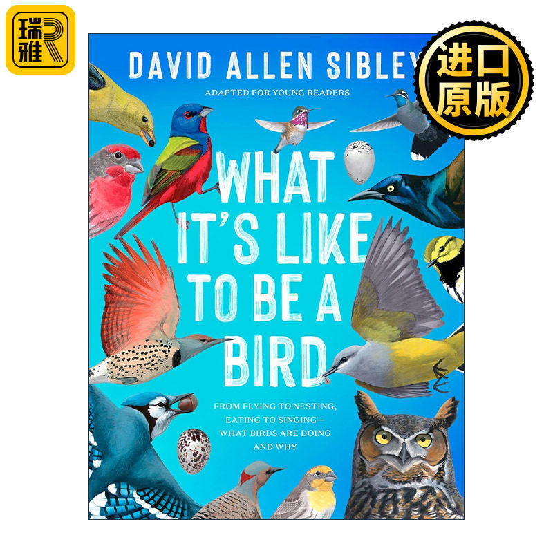 何以为鸟西布利的鸟类世界