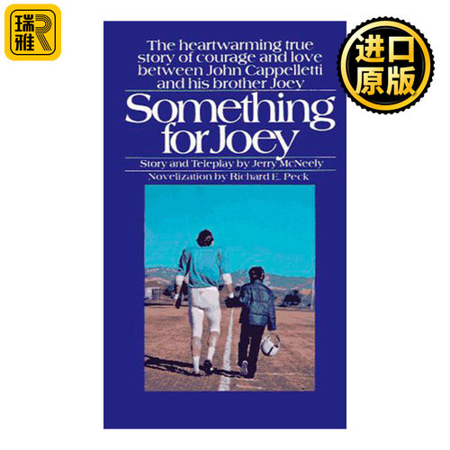 Something for Joey 乔伊的礼物 青少年成长小说 足球运动 Richard Peck