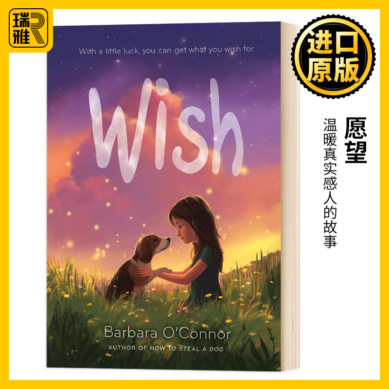 wish 愿望 英文原版 barbara oconnor 全英文版纯全英文版正版原著