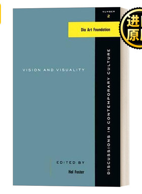 Vision and Visuality Discussions in Contemporary Culture