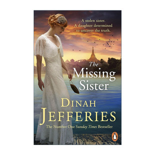 英文原版 The Missing Sister 失踪的姐姐 黛娜·杰佛瑞斯 畅销历史悬疑小说 英文版 进口英语原版书籍