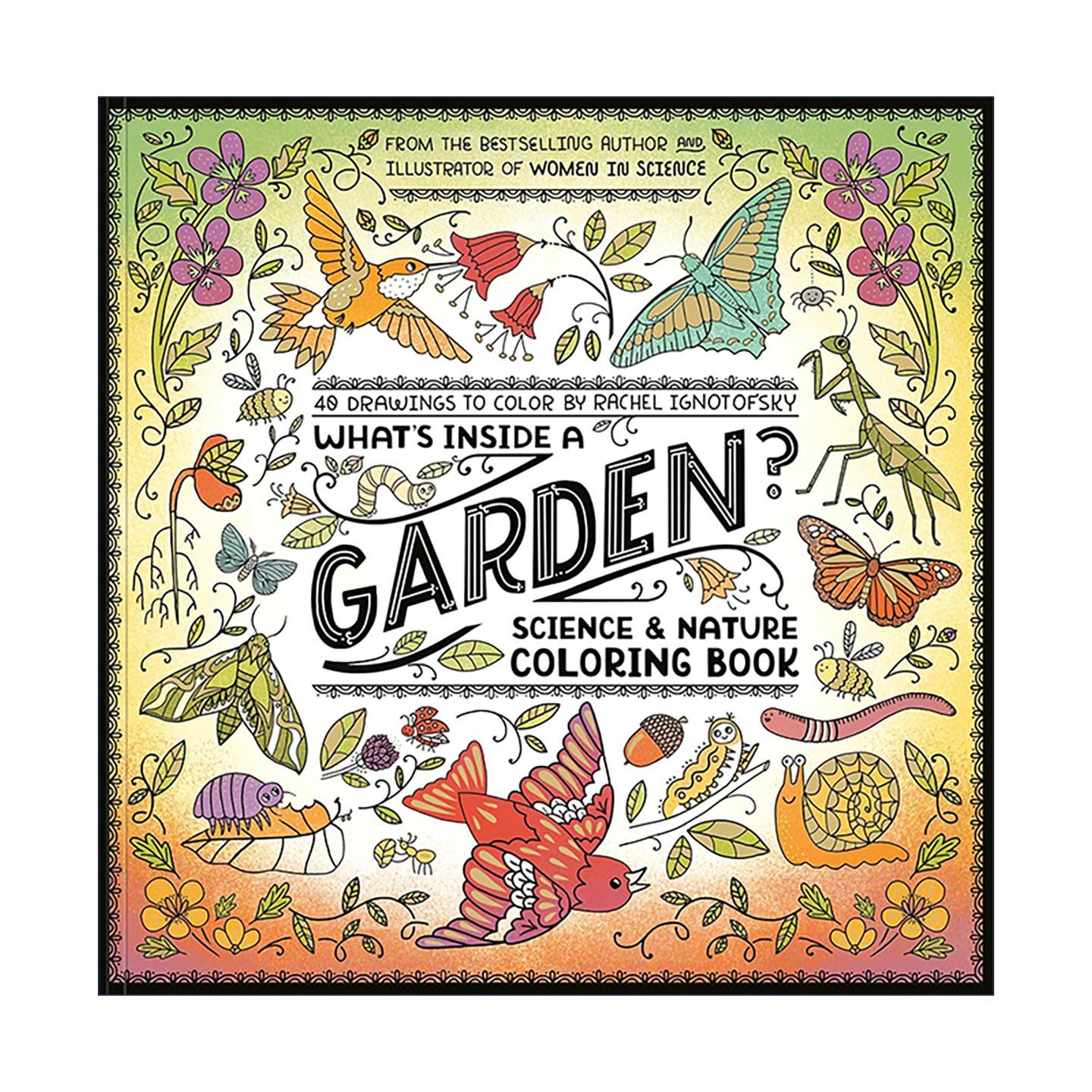 英文原版 What's Inside a Garden 花园里有什么 精美插图填色涂色书 自然科学科普百科 瑞秋&middot;伊格诺托夫斯基 进口英语原版书籍