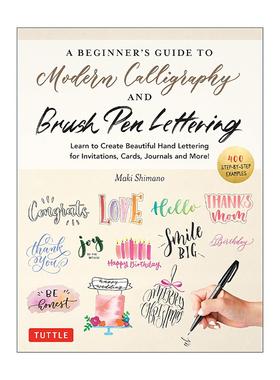 英文原版 A Beginner's Guide to Modern Calligraphy & Brush Pen Lettering 现代书法和毛笔字体初学者指南 进口英语原版书籍