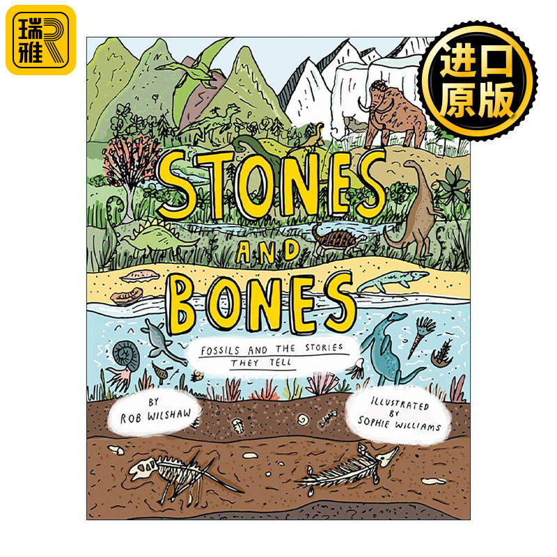 英文原版 Stones and Bones Fossils and the Stories They Tell 藏在化石中的历史 儿童自然科学科普百科精装绘本 英文版