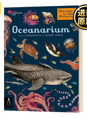 欢迎来到博物馆系列 海洋博物馆 英文原版 Welcome to the Museum Oceanarium 英文版 Loveday Trinick 进口英语原版书籍