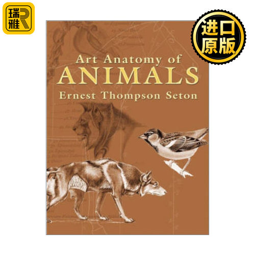 Art Anatomy of Animals 动物艺术解剖学 Ernest Thompson Seton