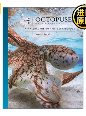 英文原版 The Lives of Octopuses and Their Relatives 章鱼 柔软而强大的头足类 自然史 丹娜·斯塔夫 普林斯顿 精装 英文版