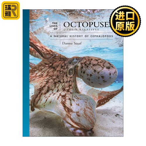 英文原版 The Lives of Octopuses and Their Relatives 章鱼 柔软而强大的头足类 自然史 丹娜·斯塔夫 普林斯顿 精装 英文版