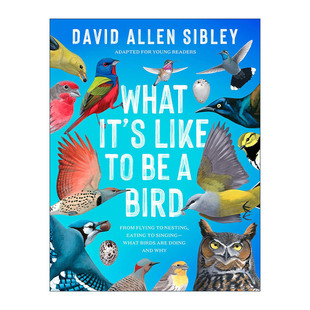 英文原版 What It's Like to Be a Bird Adapted for Young Readers 何以为鸟 西布利的鸟类世界 青少年版 观鸟指南 自然科普百科