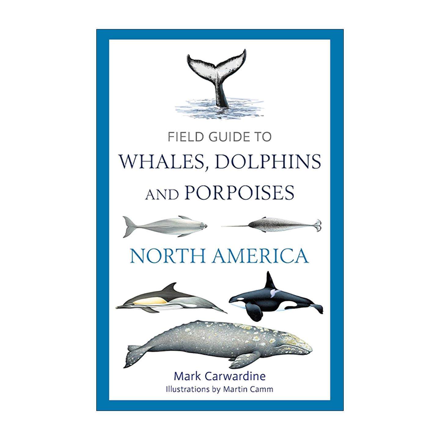 英文原版 Field Guide to Whales Dolphins and Porpoises of North America 北美鲸豚类野外指南 英文版 进口英语原版书籍