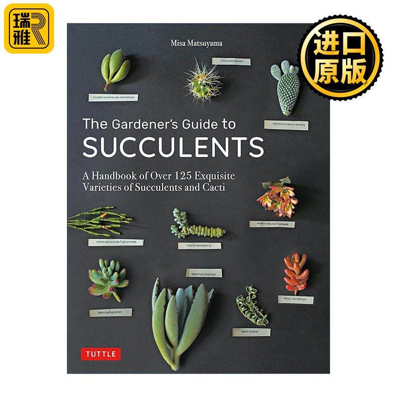 英文原版 The Gardener's Guide to Succulents 多肉植物与仙人掌种植插图指南 园艺学家Misa Matsuyama 英文版 进口英语原版书籍