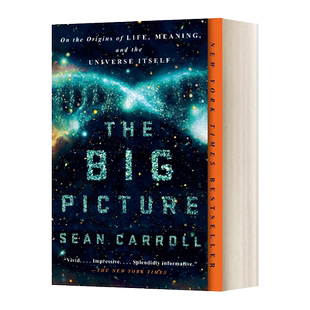 大图景 论生命的起源 意义和宇宙本身 英文原版 The Big Picture 物理 Sean Carroll 英文版 进口英语原版书籍