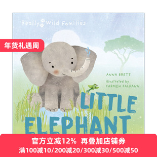 英文原版 Little Elephant A Day in the Life of a Elephant Calf 小象的一天 儿童动物精装绘本 Really Wild Families 进口书籍