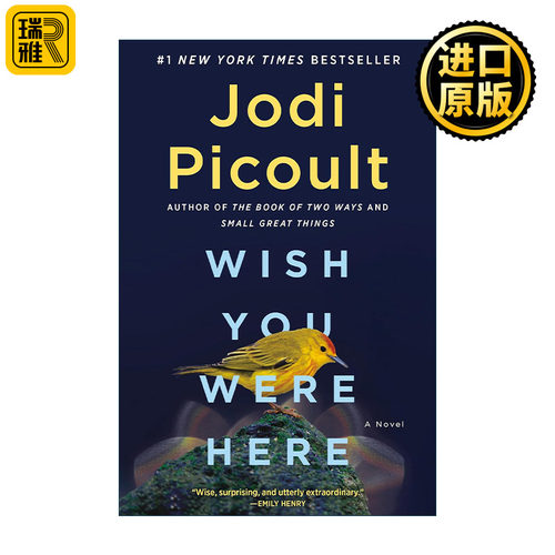 Wish You Were Here 希望你在这里 渺小的伟大作者Jodi Picoult朱迪·皮考特