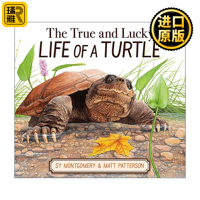 英文原版 True and Lucky Life of a Turtle 乌龟真实而幸运的一生 精装科普 美国知名博物学家Sy Montgomery 进口英语原版书籍