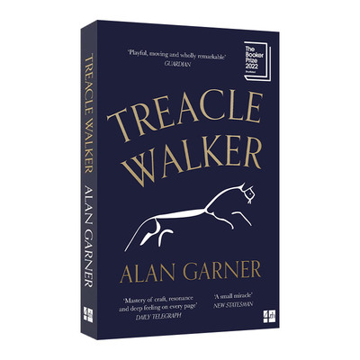 英文原版小说 Treacle Walker 糖浆沃克 艾伦·加纳 2022布克奖短名单 英文版 进口英语原版书籍