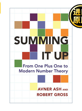 Summing It Up 总结 从一加一到现代数论 数学 Avner Ash