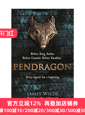 英文原版 Pendragon 潘龙的崛起 黑暗纪元三部曲1 James Wilde奇幻小说 英文版 进口英语原版书籍