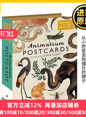 动物博物馆明信片50张 英文原版 Animalium Postcards 全英文版 Katie Scott 进口原版英语书籍