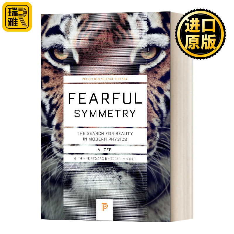 可畏的对称探寻现代物理学的美丽