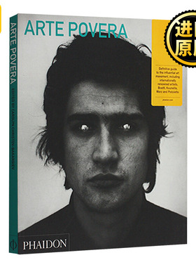 Arte Povera Abridged Edition 贫穷艺术 英文原版