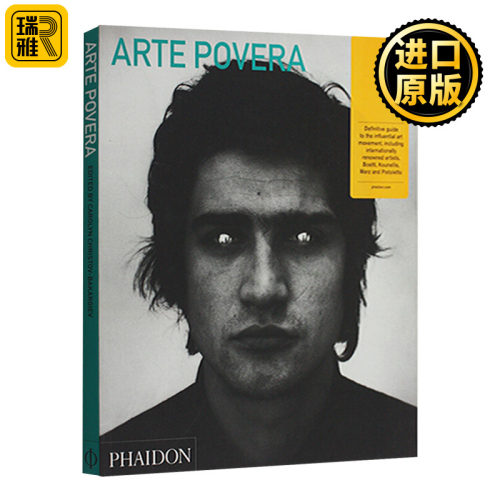 Arte Povera Abridged Edition 贫穷艺术 英文原版