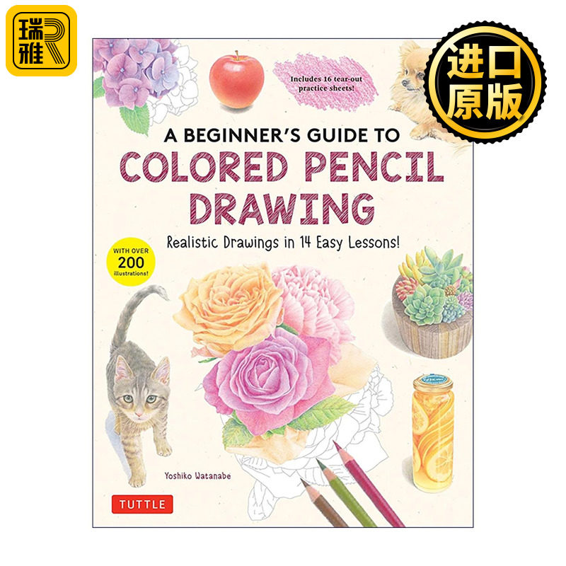 英文原版 A Beginner's Guide to Colored Pencil Drawing 彩色铅笔画初学者指南 Tuttle绘画技法 英文版 进口英语原版书籍