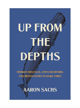 正版 Up from the Depths 英文原版 进口英语书籍