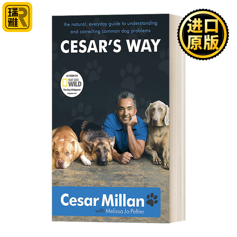 塞萨尔的方法英文版书籍