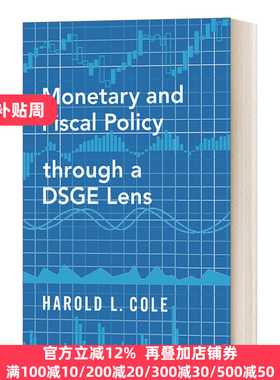 英文原版 Monetary and Fiscal Policy through a DSGE Lens 基于DSGE模型的货币与财政政策 英文版 进口英语原版书籍