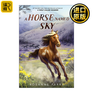 英文原版 Horse Sky 进口书籍 Named 精装