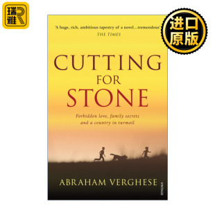 英文原版 正版 Stone For 进口英语书籍 Cutting