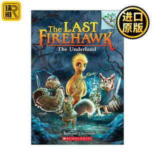 Last 火鹰传奇11 Firehawk Underland 学乐大树系列桥梁章节书 The