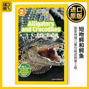 National Geographic Kids Readers L2: Alligators and Crocodiles 国家地理儿童分级读物第2级 短吻鳄和鳄鱼