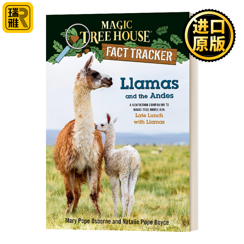 神奇树屋小百科系列43